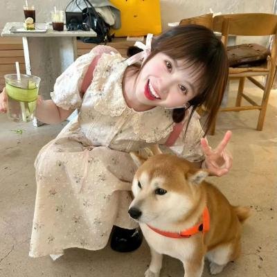 狗头金